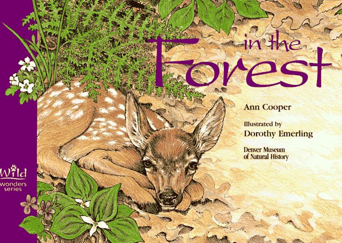 Book cover for In the Forest