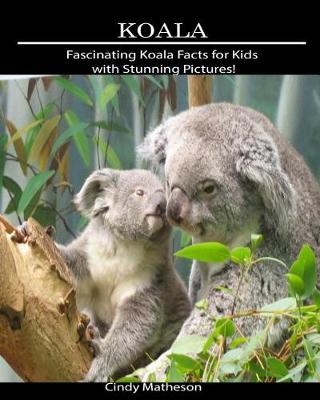 Book cover for Koala
