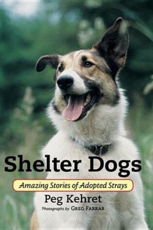 Cover of Shelter Dogs