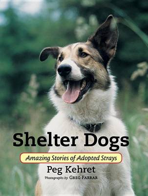 Book cover for Shelter Dogs