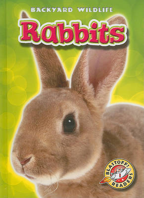 Book cover for Rabbits