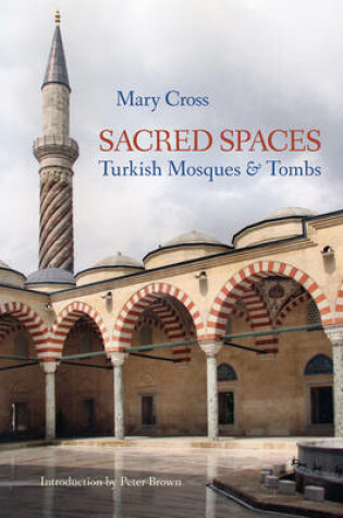 Cover of Sacred Spaces