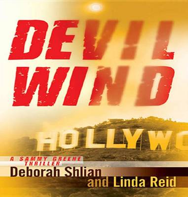 Book cover for Devil Wind