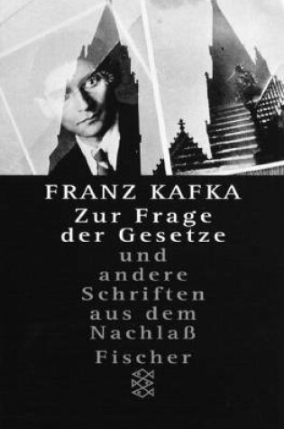 Cover of Zur Frage Der Gesetze Und Adere Schriften Aus Dem Nachlass