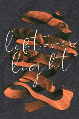 Book cover for Leftover Light