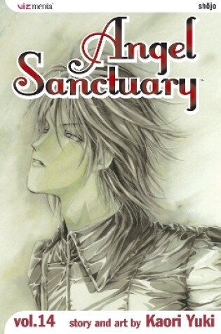 Cover of Angel Sanctuary, Vol. 14