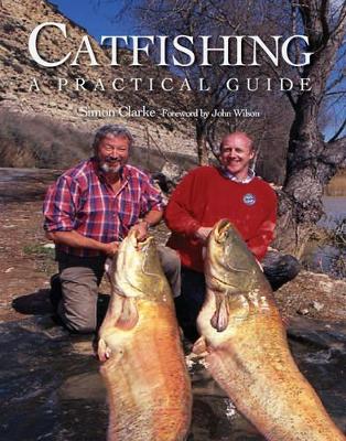 Book cover for Catfishing