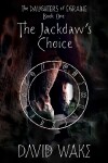 Book cover for The Jackdaw's Choice