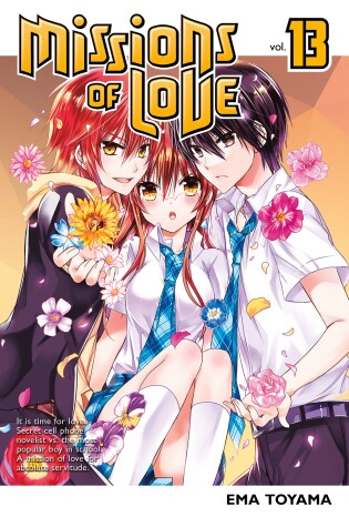Cover of Missions Of Love 13