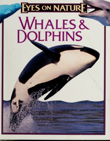 Book cover for Whales & Dolphins