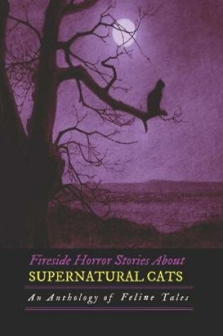 Cover of Fireside Horror Stories About Supernatural Cats