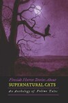 Book cover for Fireside Horror Stories About Supernatural Cats