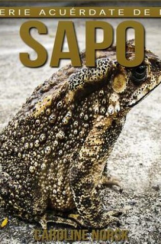 Cover of Sapo