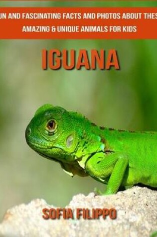 Cover of Iguana