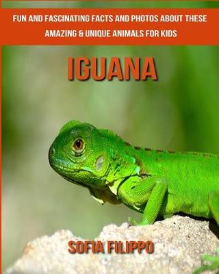 Book cover for Iguana