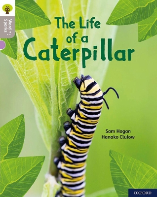 Book cover for Oxford Reading Tree Word Sparks: Level 1: The Life of a Caterpillar