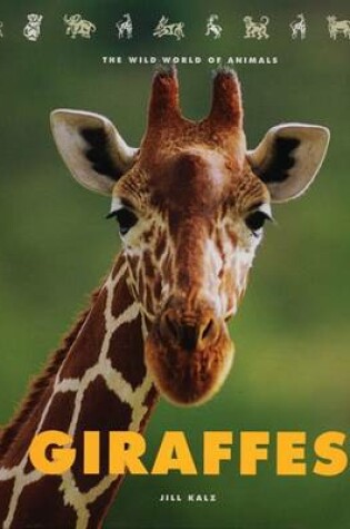 Cover of Giraffes