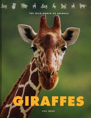 Book cover for Giraffes