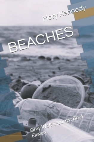 Cover of Beaches