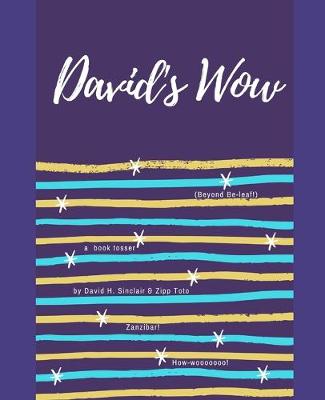 Book cover for David's Wow