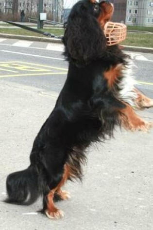 Cover of Black and Tan Cavalier King Charles Spaniel on Her Hind Legs Journal