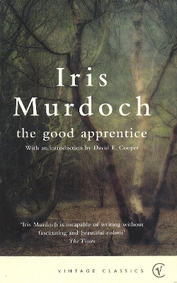 Book cover for The Good Apprentice