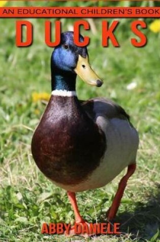 Cover of Ducks! An Educational Children's Book about Ducks with Fun Facts & Photos