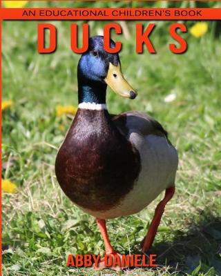 Book cover for Ducks! An Educational Children's Book about Ducks with Fun Facts & Photos