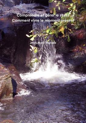 Book cover for Comprendre et gerer le stress Comment vivre le moment present