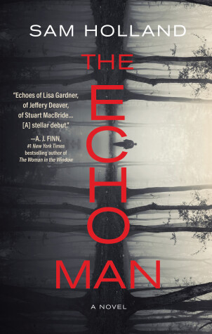 Book cover for The Echo Man