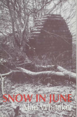 Cover of Snow in June