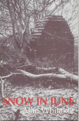 Book cover for Snow in June