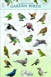 Book cover for Garden Birds