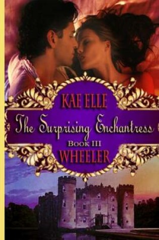 Cover of The Surprising Enchantress - Book III