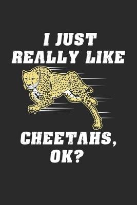 Book cover for I Just Really Like Cheetahs OK?