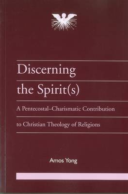 Book cover for Discerning the Spirits