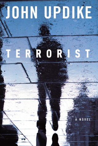 Book cover for Terrorist