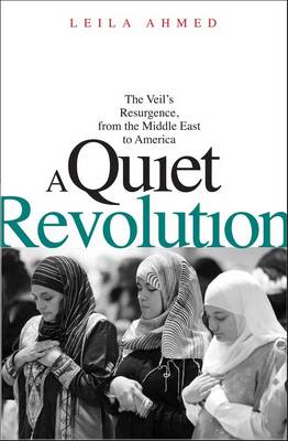 Book cover for A Quiet Revolution