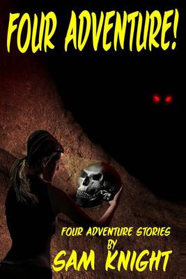 Book cover for Four Adventure!