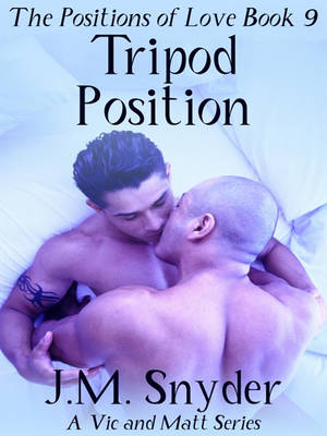 Book cover for The Positions of Love Book 9