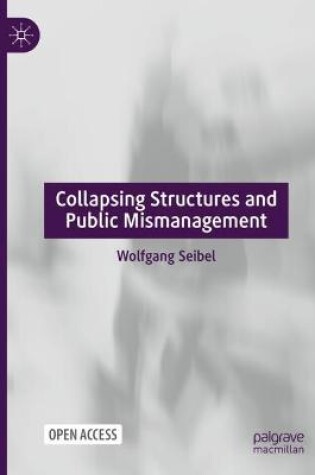 Cover of Collapsing Structures and Public Mismanagement