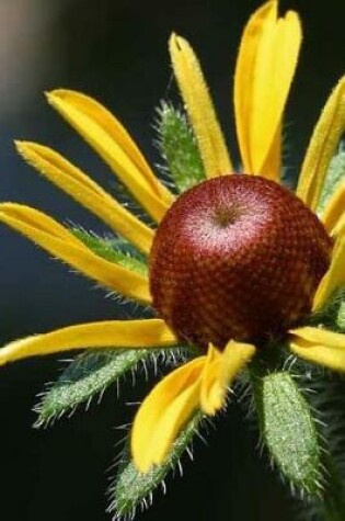 Cover of Rudbeckia Blooming in the Garden Journal