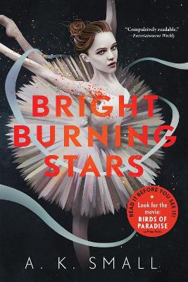 Cover of Bright Burning Stars
