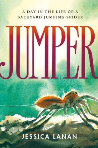 Cover of Jumper