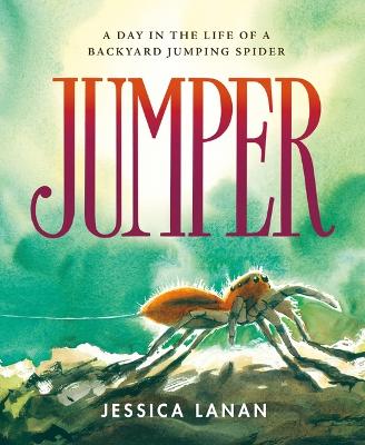 Book cover for Jumper