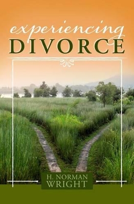 Book cover for Experiencing Divorce