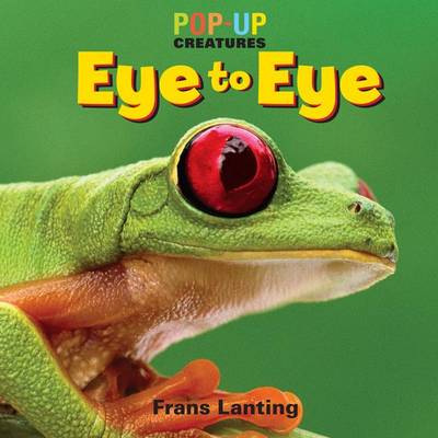Book cover for Pop-Up Creatures: Eye to Eye