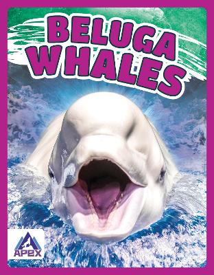 Book cover for Giants of the Sea: Beluga Whales