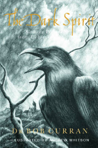 Cover of The Dark Spirit