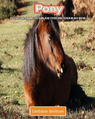 Book cover for Pony